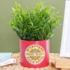 The Beatles Sergeant Pepper 10cm Plant Pot