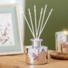 Desire Silver Butterfly Pomegranate Noir 200ml Reed Diffuser