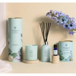 Marmalade Of London Balance 200ml Wellbeing Reed Diffuser -Yankee Candle Sales marmalade of london wellness balance group shot 1 1