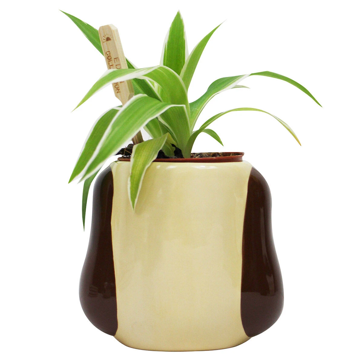 Wallace & Gromit– Gromit Shaped Plant Pot 3 Wallace & Gromit– Gromit Shaped Plant Pot - Image 3